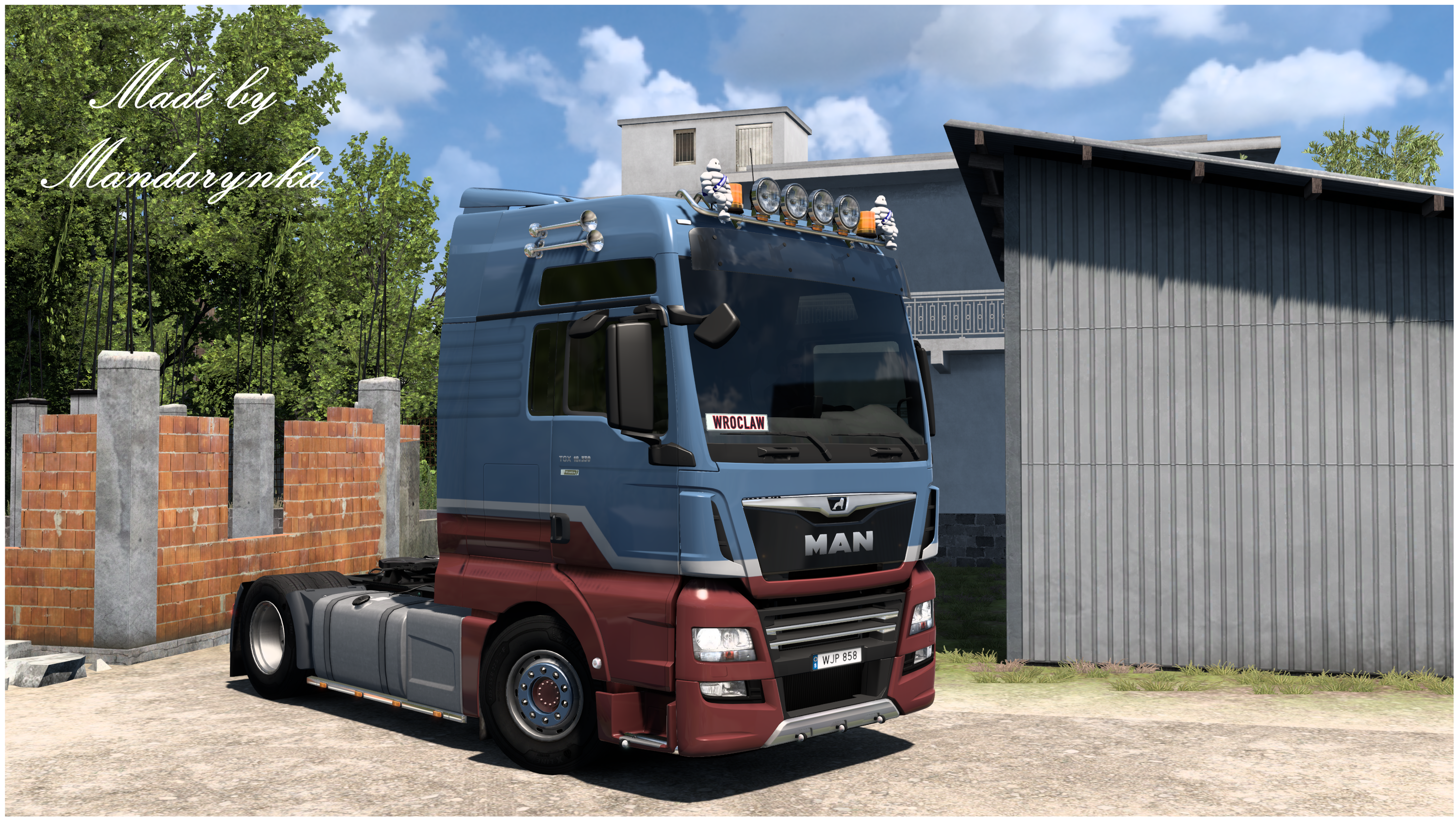 MAN EURO 6