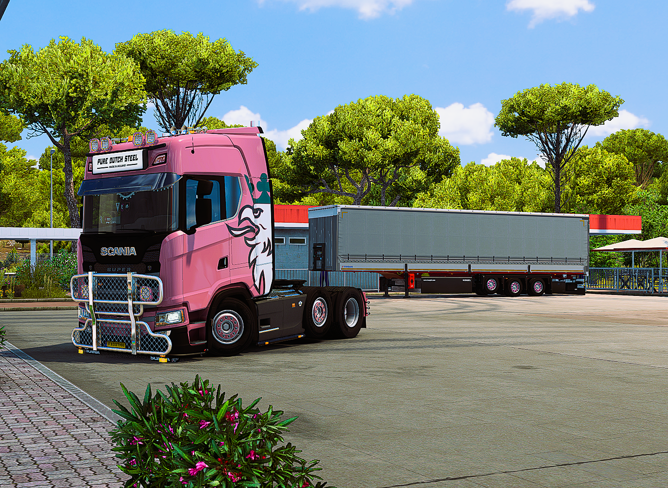 Pink S